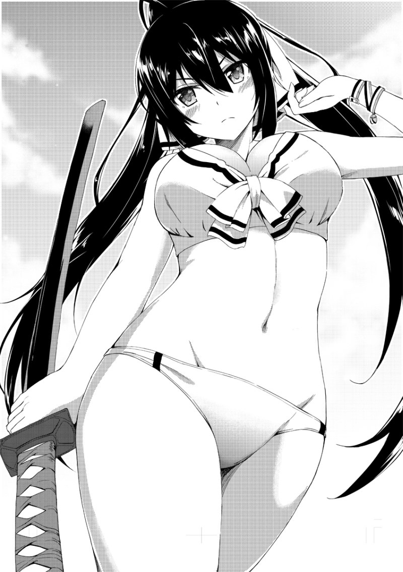 аниме картинка девушка с катаной в купальнике shinonono houki черно белая картинка